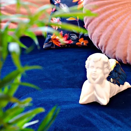 Cherub ורוצלב