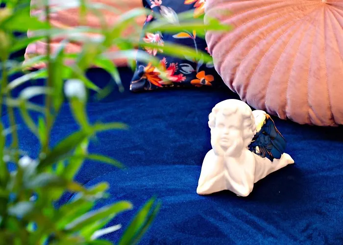 Cherub 브로츠와프